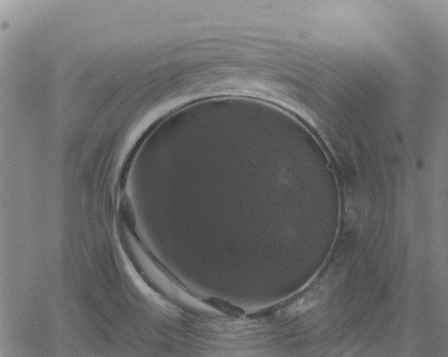 X0000062141515200512161204