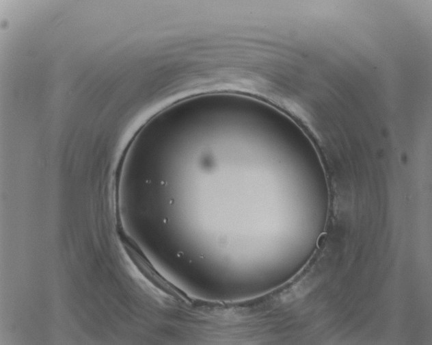 X0000062141516200512161204