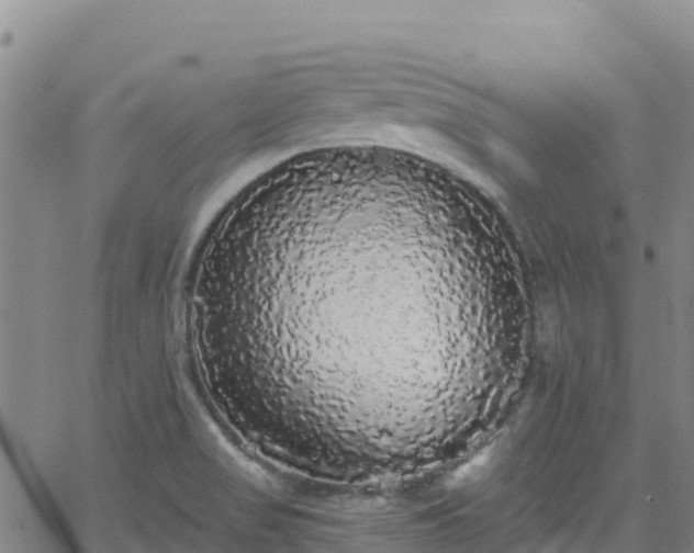 X0000062141517200512161204