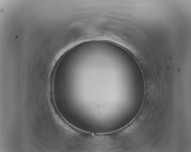 X0000062141518200512161204