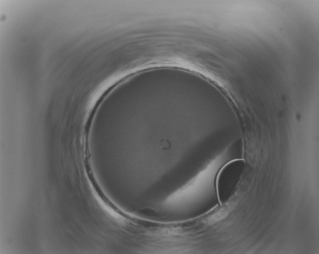 X0000062141519200512161204