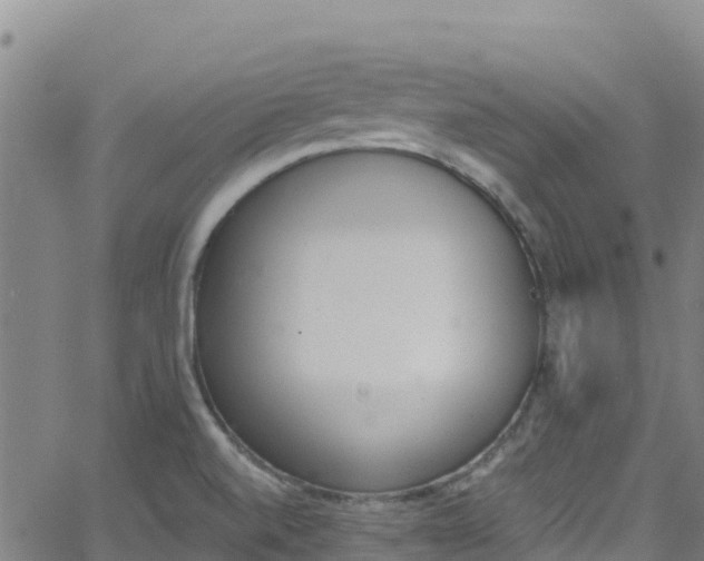 X0000062141520200512161204