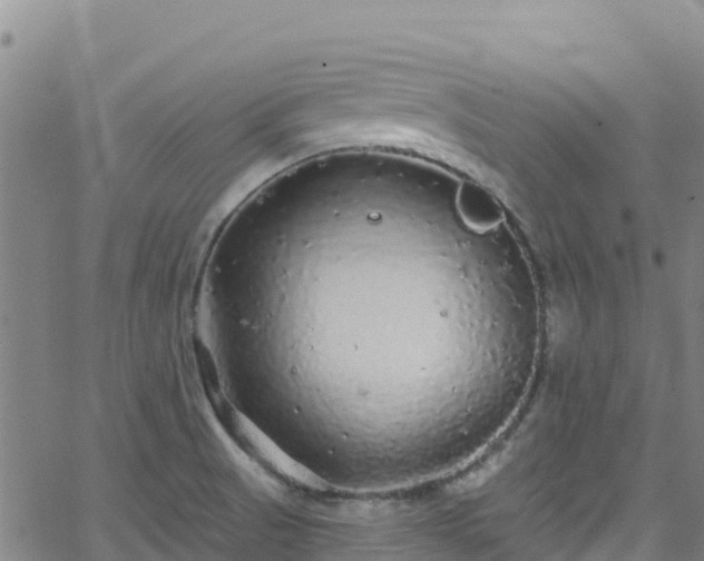 X0000062141521200512161204