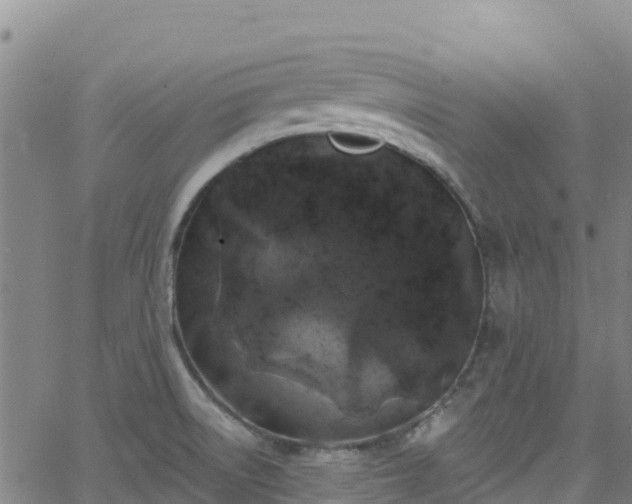 X0000062141522200512161204