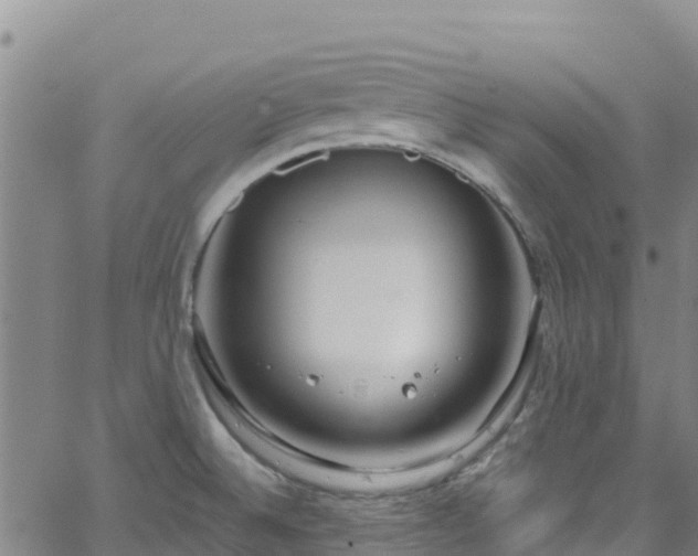 X0000062141524200512161204