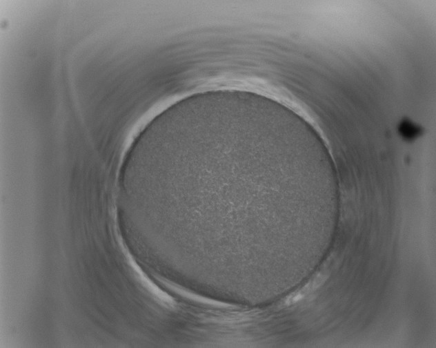 X0000062141525200512161204