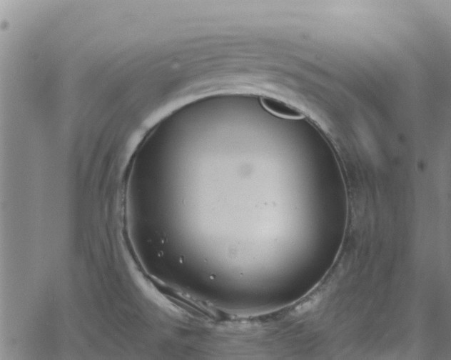 X0000062141526200512161204