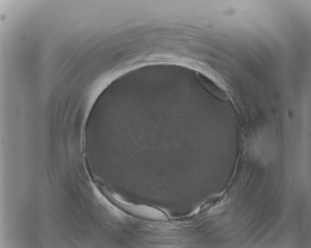 X0000062141527200512161204