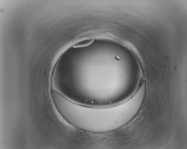 X0000062141528200512161204