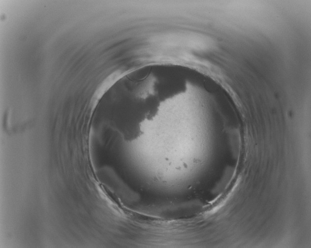 X0000062141529200512161205