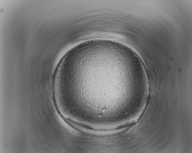 X0000062141531200512161205