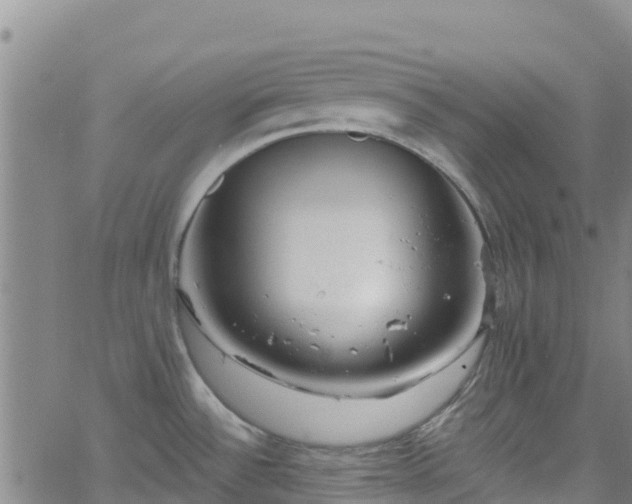 X0000062141532200512161205