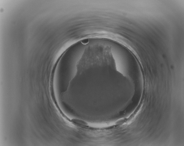 X0000062141533200512161205