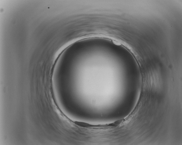 X0000062141534200512161205