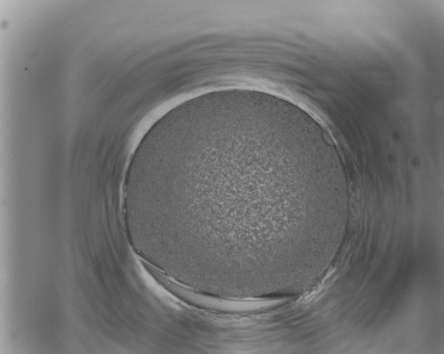 X0000062141535200512161205