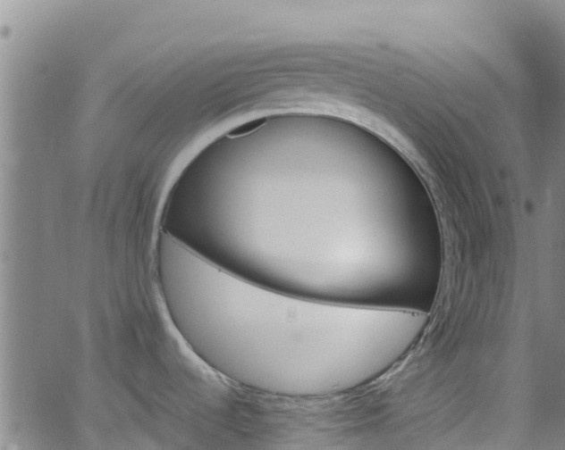 X0000062141536200512161205