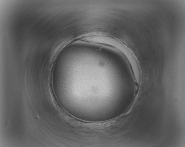 X0000062140001200512231518