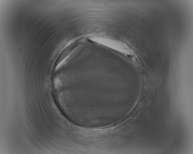 X0000062140002200512231517