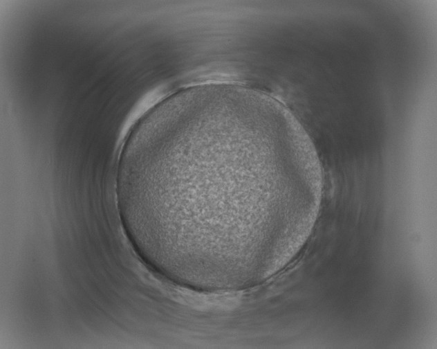 X0000062140004200512231517