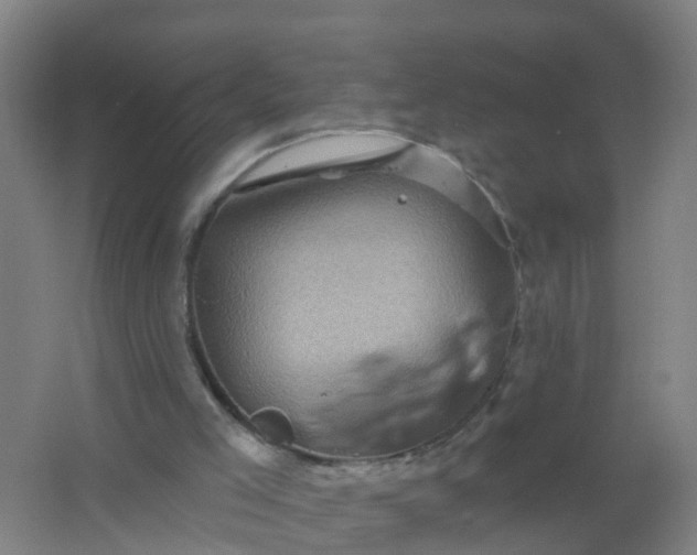 X0000062140005200512231517