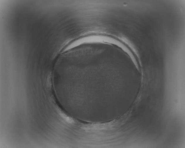 X0000062140009200512231517