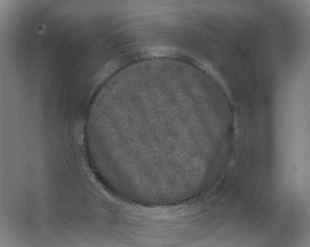 X0000062140010200512231517