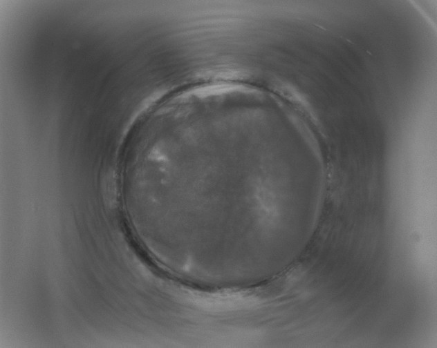 X0000062140012200512231517