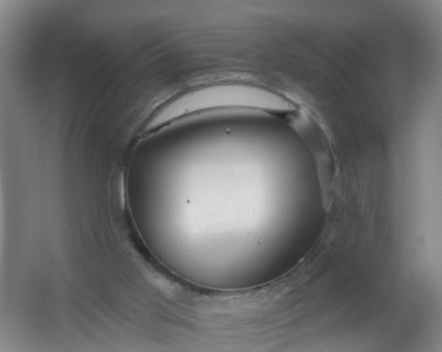 X0000062140013200512231517