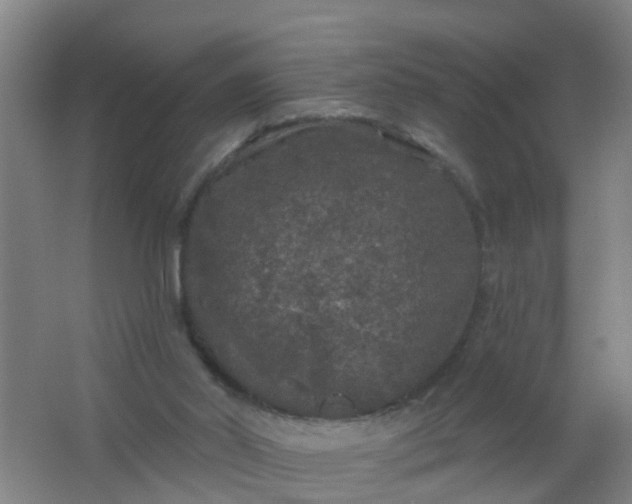 X0000062140014200512231517