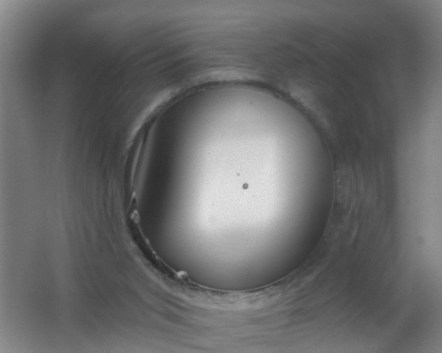 X0000062140015200512231517