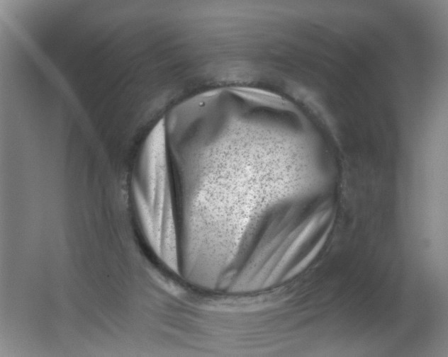 X0000062140017200512231517