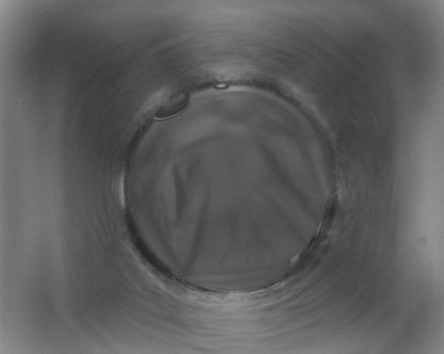 X0000062140019200512231517