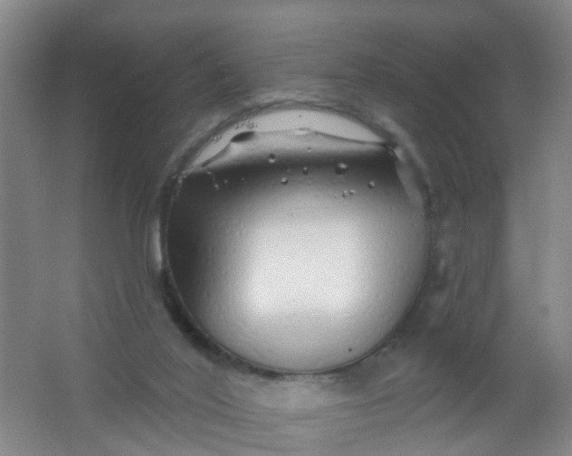 X0000062140020200512231517