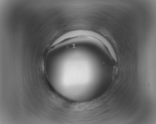 X0000062140021200512231517