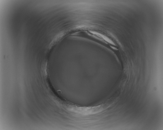 X0000062140023200512231517