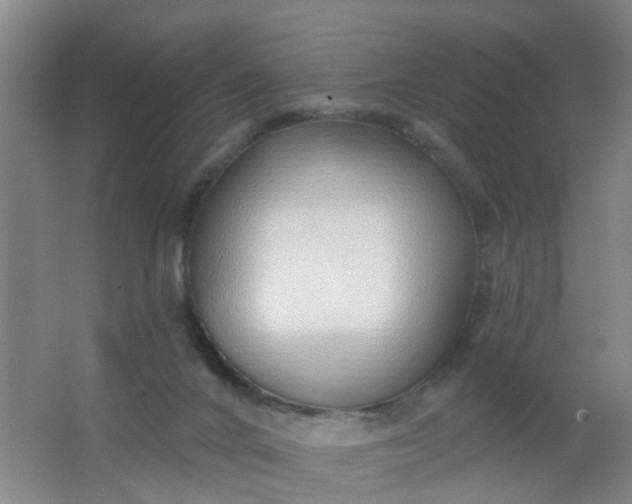 X0000062140024200512231517