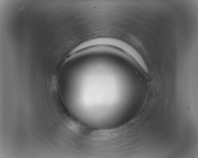 X0000062140025200512231517