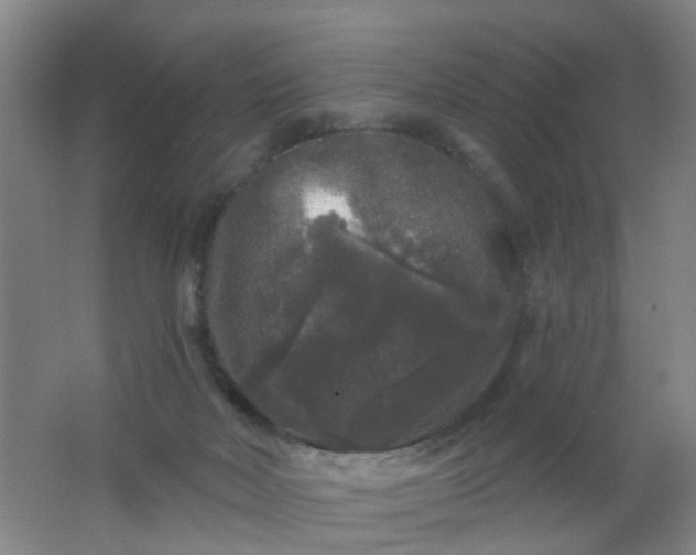 X0000062140026200512231517