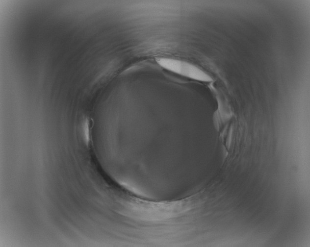 X0000062140027200512231517