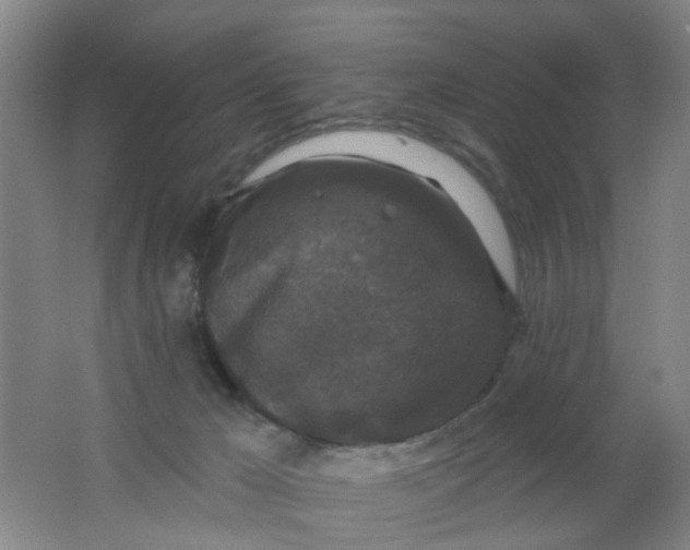 X0000062140029200512231517