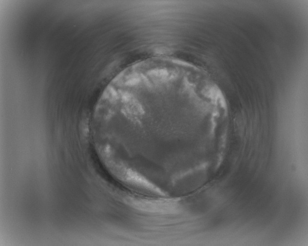 X0000062140032200512231517