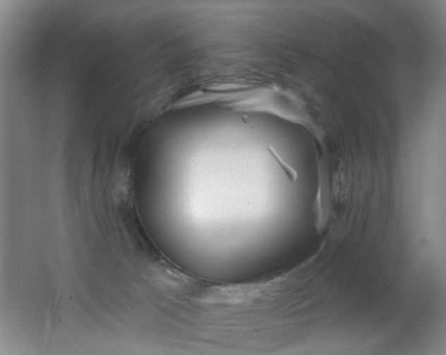 X0000062140033200512231517