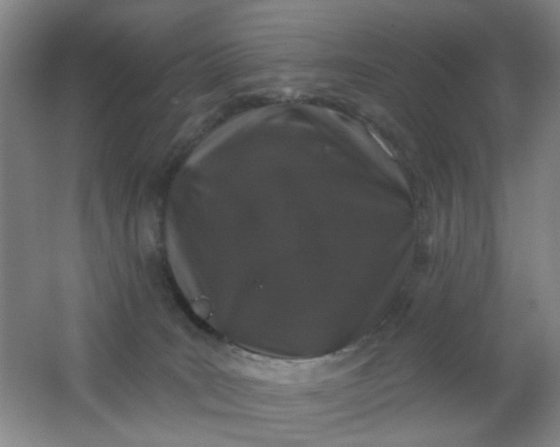 X0000062140035200512231517