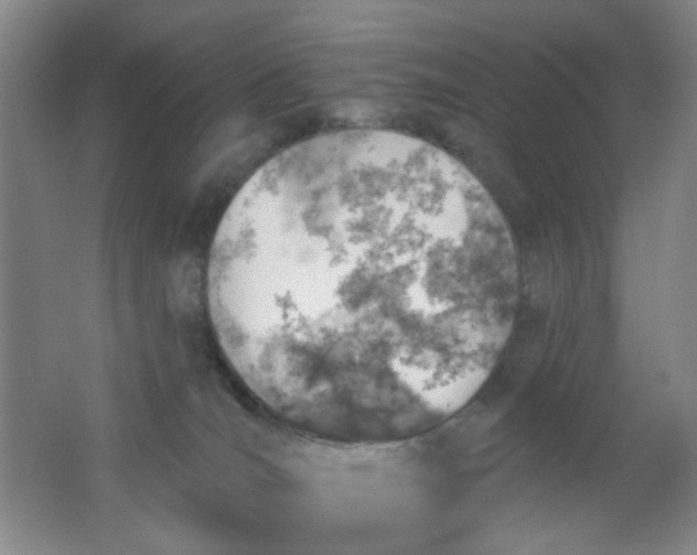 X0000062140036200512231517