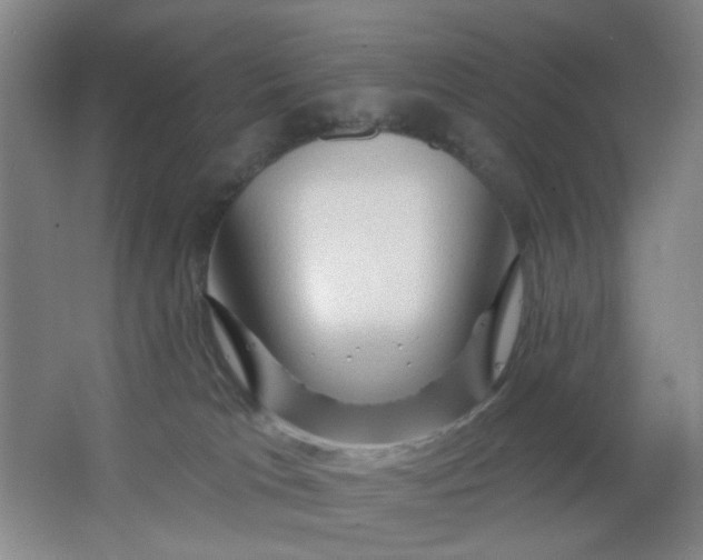 X0000062140037200512231517