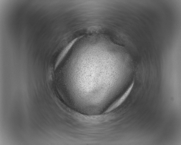 X0000062140038200512231517