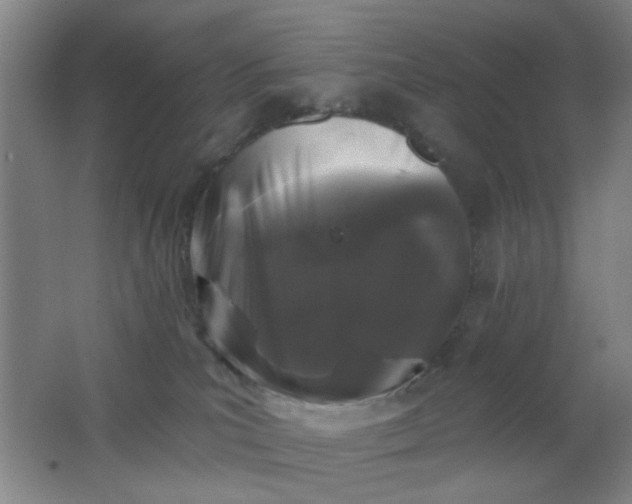 X0000062140039200512231517