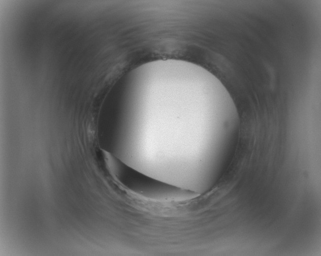 X0000062140040200512231517