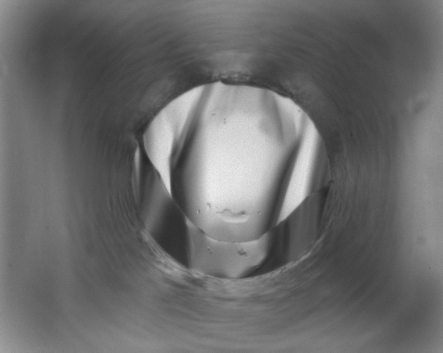 X0000062140041200512231517