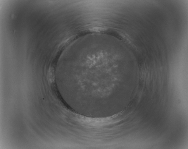 X0000062140043200512231517